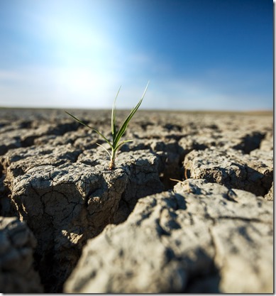 Drought