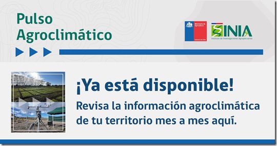 RRSS lanzamiento Pulso