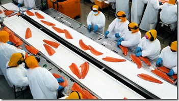 Producci&oacute;n de salm&oacute;n