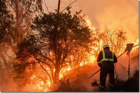 AdobeStock_309213913