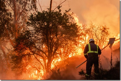 Mega incendios en el sur de Chile (3)