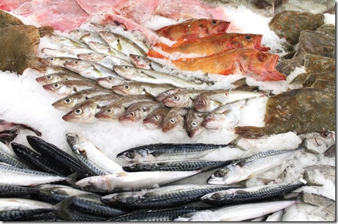 Dise&ntilde;o sin t&iacute;tulo - 1